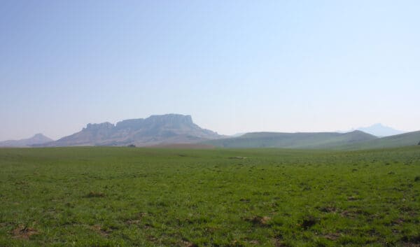 Freestate Mix - Image 2