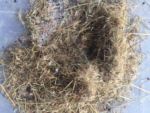 Limpopo Mix - Image 3