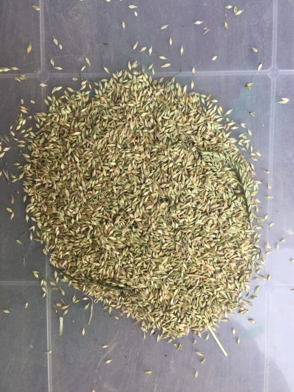 Potch Mix - Image 2