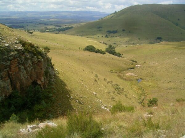 Mpumalanga Highveld Mix - Image 2