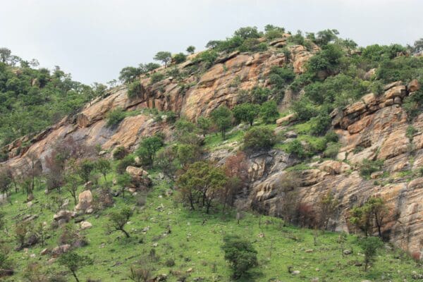 Mpumalanga Lowveld Mix - Image 2