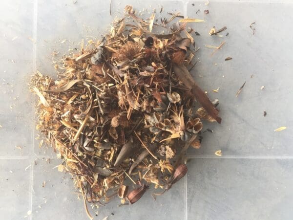 Fynbos Mix - Image 3