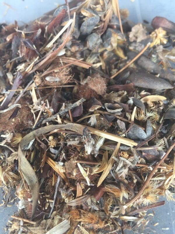 Fynbos Mix - Image 2