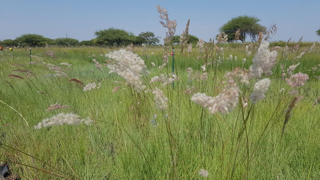 about diverse ecological solutions